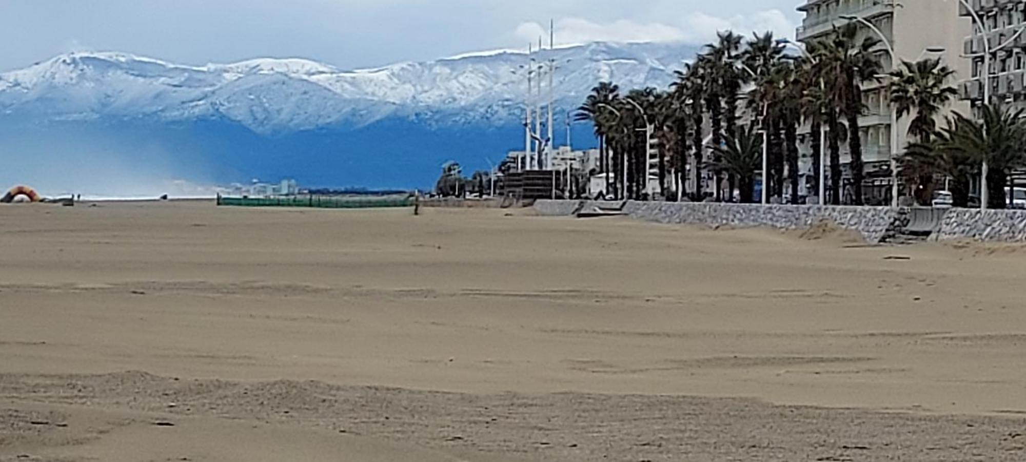 Chambres D'Hotes Un Ete Sans Fin A 50 M De La Plage A Canet Plage Exteriör bild